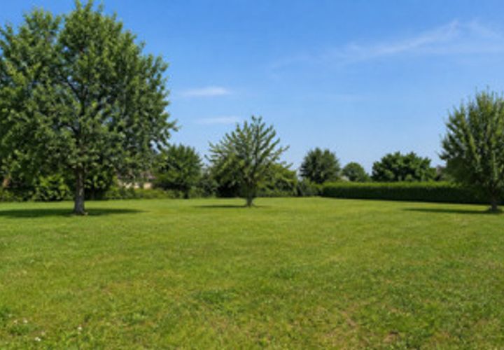 Terra a Le Pout, Gironde, Le Pout - € 110.000 | Ref: ER-3004-Le_pout - foto 1