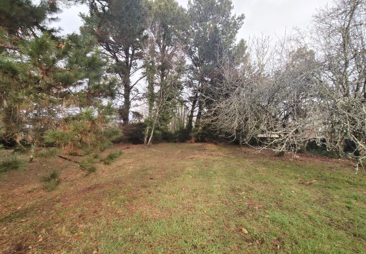 Terra a Bonnetan, Gironde, Bonnetan - € 159.000 | Ref: MB-0605-Bonnetan - foto 1