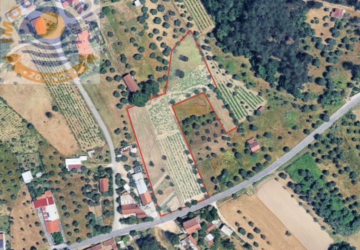 Helårsgrund i Ourem, Santarem, Ourem - € 75.000 | Ref: SÒL_810 - foto 1