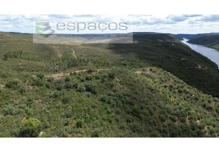 Terra a Perais, Castelo Branco, Perais - € 54.000 | Ref: 5540/EM_RR - foto 1