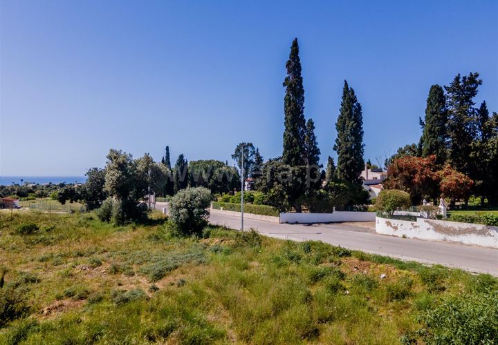 Terra a Lagoa, Faro, Lagoa - € 650.000 | Ref: 119260029 - foto 1