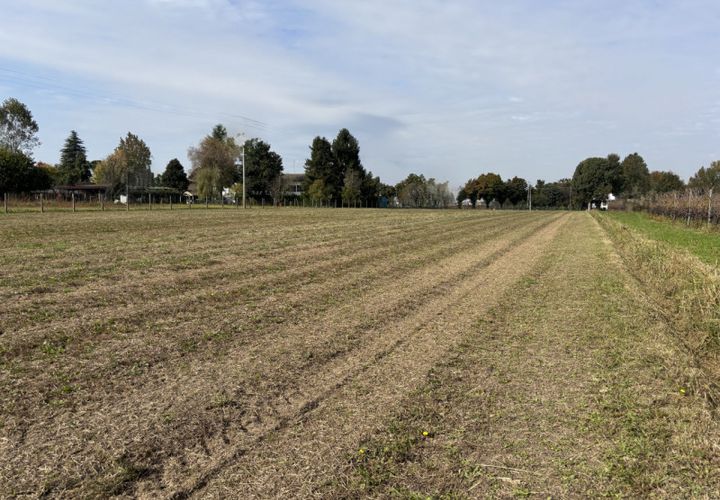 Terra a Conselve, Padua, Conselve - € 80.000 | Ref: L56 - foto 1
