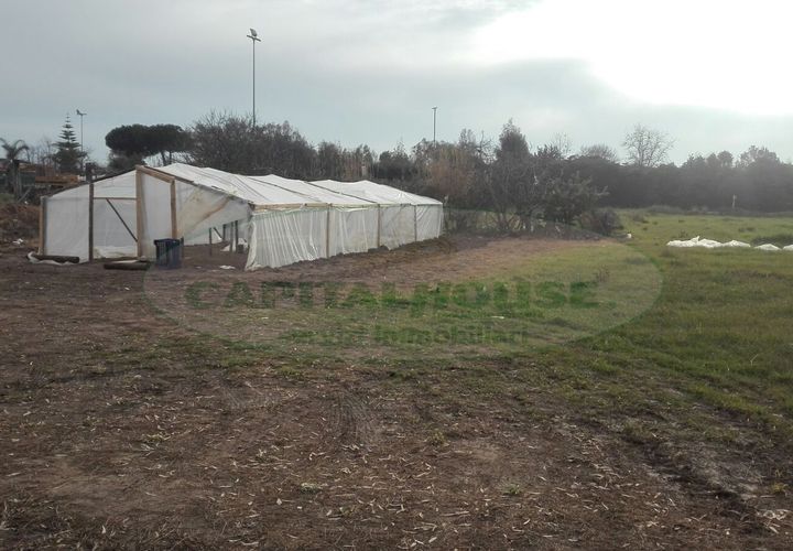 Helårsgrund i Mondragone, Caserta, Mondragone - € 7.900 | Ref: TERRENOMONDRAGONE - foto 1