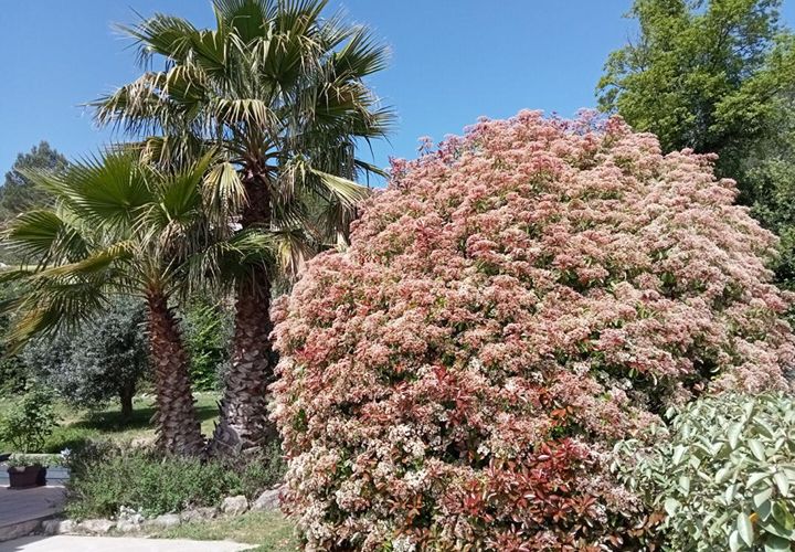Villa i Cabasse, Var, Cabasse - € 488.000 | Ref: 387 - foto 1