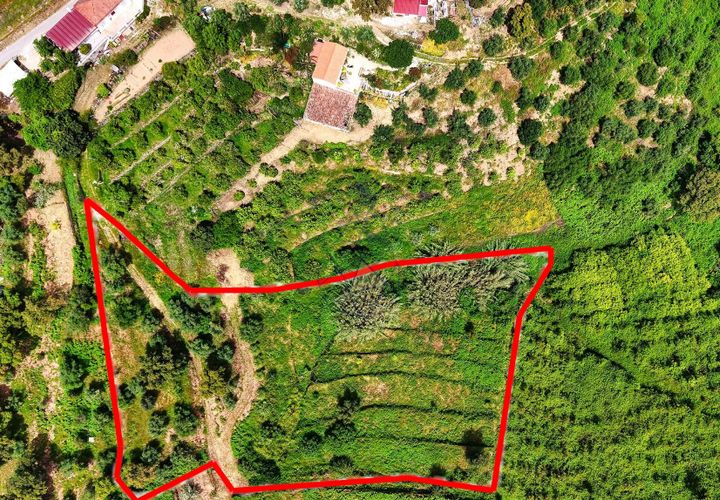Grond in Monchique, Faro, Monchique - € 54.500 | Ref: JE041 MO - foto 1