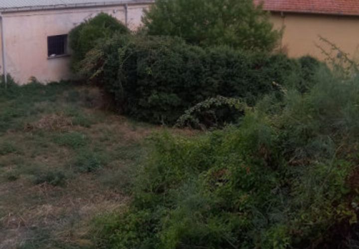 Terra a Vallecrosia, Imperia, Vallecrosia - € 50.000 | Ref: t 365 - foto 1
