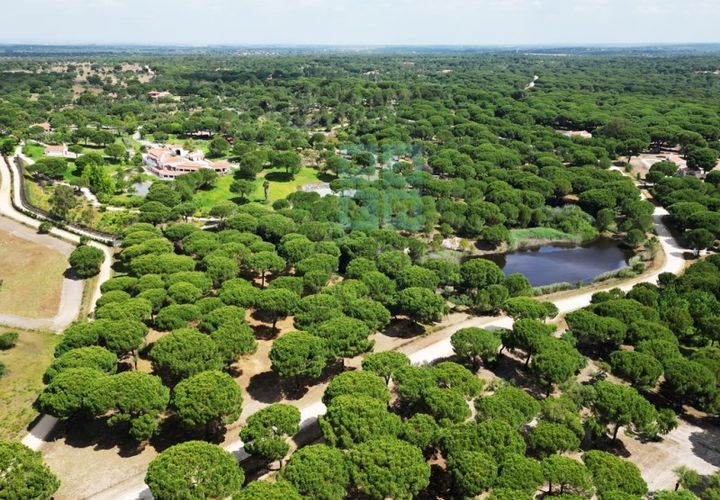 Terra a Santarem, Santarem, Santarem - € 463.000 | Ref: 119350 - foto 1