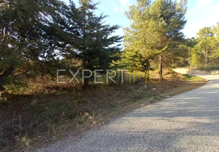 Farm i Guarda, Guarda, Guarda - € 98.000 | Ref: MAS_1867 - foto 1