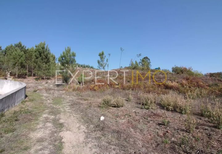 Terra a Gondemaria e Olival, Santarem, Gondemaria e Olival - € 40.000 | Ref: SV20003 - foto 1