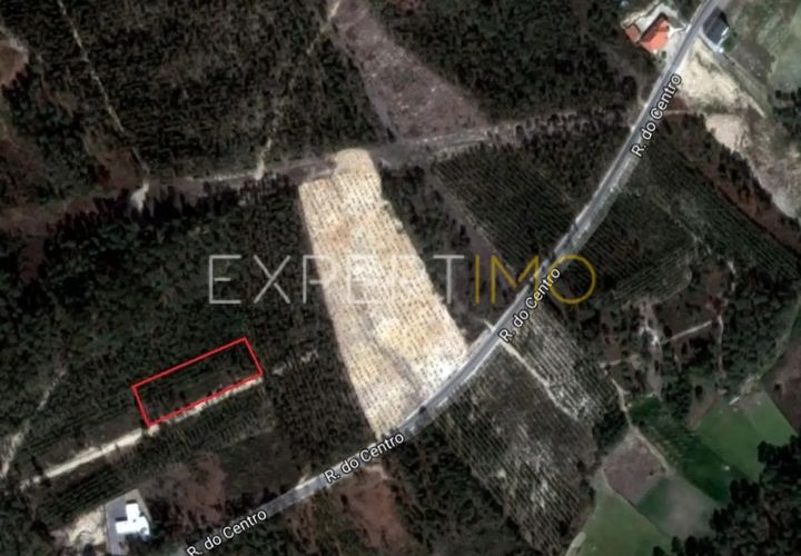Helårsgrund i Matas e Cercal, Santarem, Matas e Cercal - € 18.000 | Ref: SV20005 - foto 1