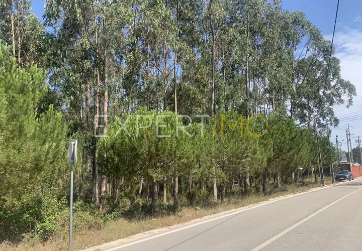 Terra a Leiria, Leiria, Leiria - € 450.000 | Ref: SV23030 - foto 1