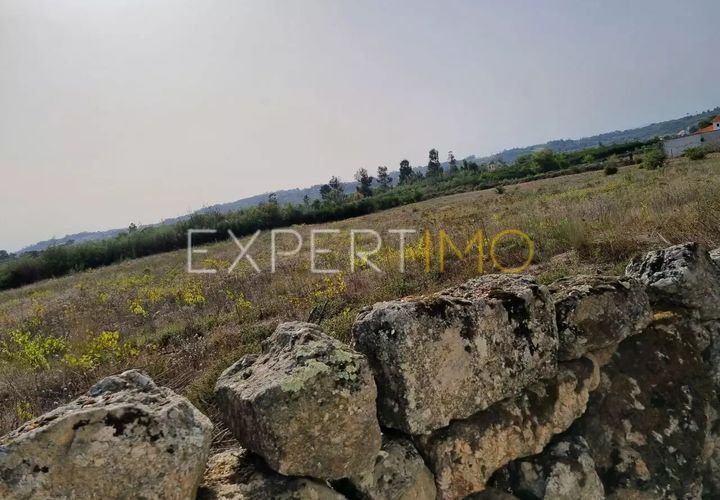 Helårsgrund i Moimenta da Serra e Vinho, Guarda, Moimenta da Serra e Vinho - € 25.000 | Ref: TER_2543 - foto 1
