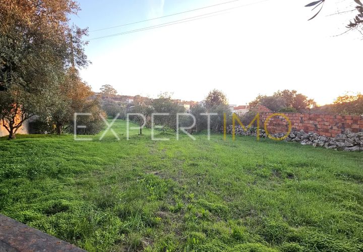 Helårsgrund i Pombal, Leiria, Pombal - € 39.900 | Ref: TER_2665_SGAS - foto 1