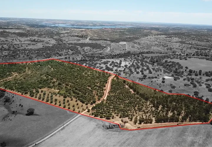 Helårsgrund i Ourique, Beja, Ourique - € 289.000 | Ref: C0240-03629 - foto 1