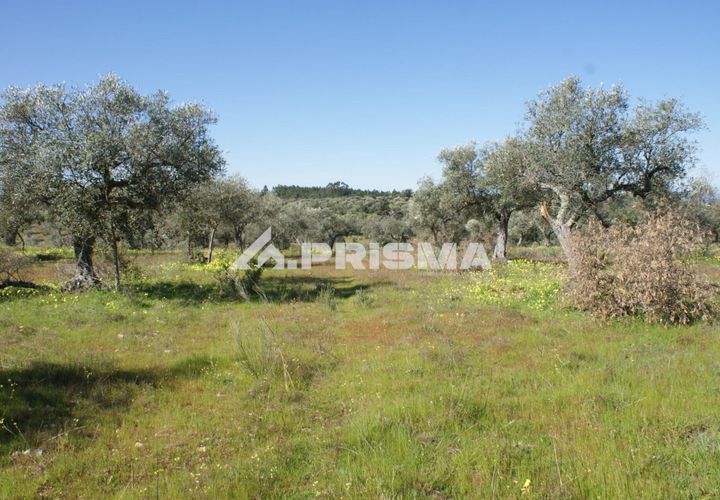 Helårsgrund i Castelo Branco, Castelo Branco, Castelo Branco - € 27.000 | Ref: PP4756 - foto 1