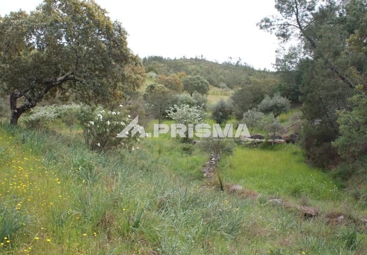 Helårsgrund i Castelo Branco, Castelo Branco, Castelo Branco - € 37.500 | Ref: PP4755 - foto 1