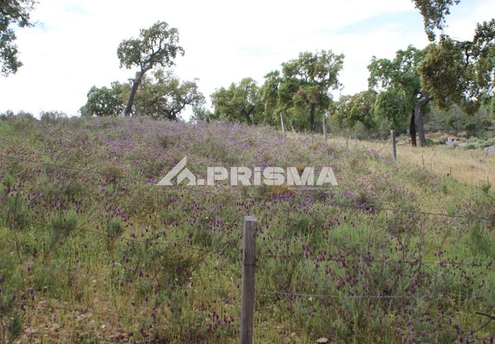 Terreno en Castelo Branco, Castelo Branco, Castelo Branco - € 33.000 | Ref: PP4731 - photo 1