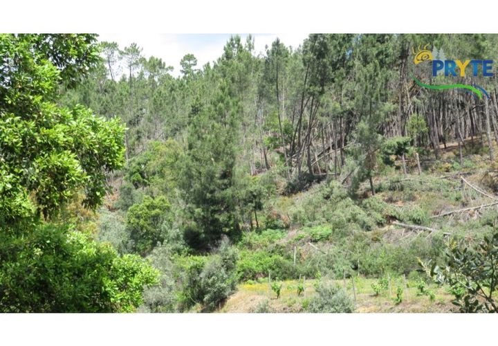 Helårsgrund i Proenca-a-Nova, Castelo Branco, Proenca-a-Nova - € 24.900 | Ref: SO27 - foto 1