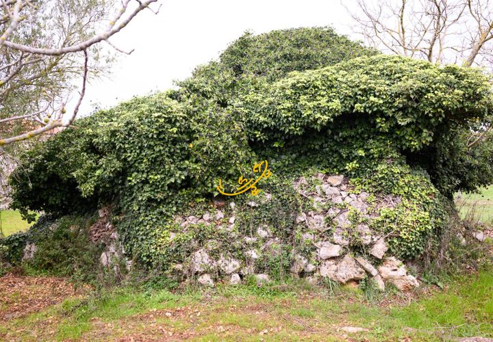 Landejendom i Noci, Bari, Noci - € 30.000 | Ref: R 563 - foto 1