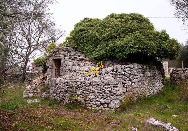 Landejendom i Noci, Bari, Noci - € 40.000 | Ref: R 564 - foto 1