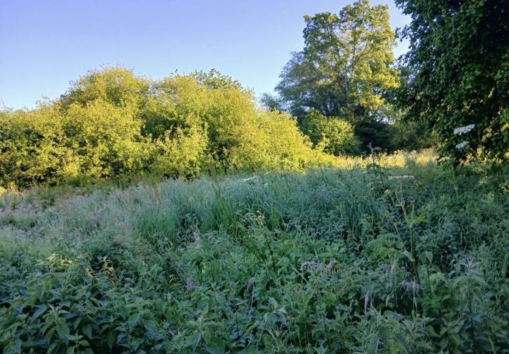 Terra a Persquen, Morbihan, Persquen - € 44.772 | Ref: 56075-2495 - foto 1