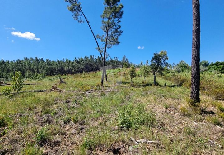 Helårsgrund i Castelo Branco, Castelo Branco, Castelo Branco - € 24.000 | Ref: H778 - foto 1