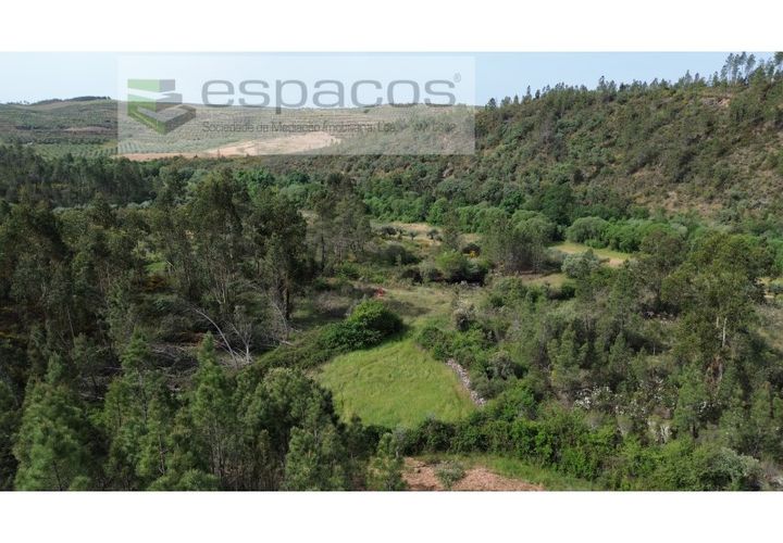 Terra a Castelo Branco, Castelo Branco, Castelo Branco - € 10.900 | Ref: 5545/EG - foto 1