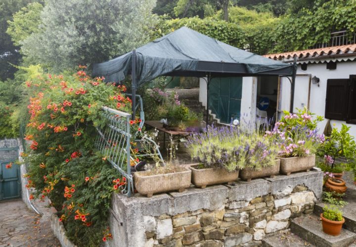 Helårsgrund i Trieste, Trieste, Trieste - € 250.000 | Ref: strada per basovizza - foto 1
