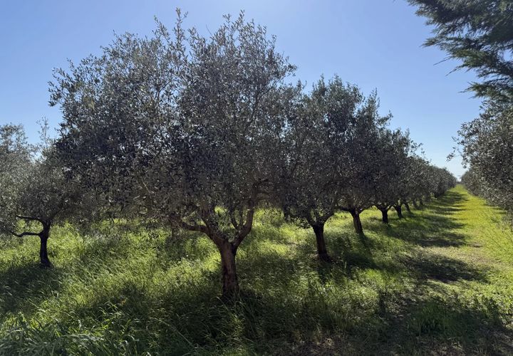 Villa i Arles, Bouches-du-Rhone, Arles - € 520.000 | Ref: 891 - foto 1