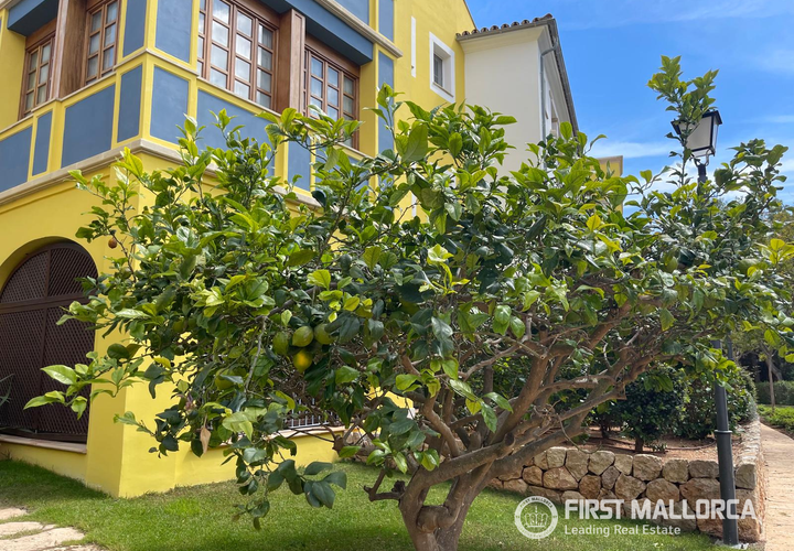 Lejlighed i Bendinat, Mallorca, Bendinat - € 925.000 | Ref: 65823 - foto 1