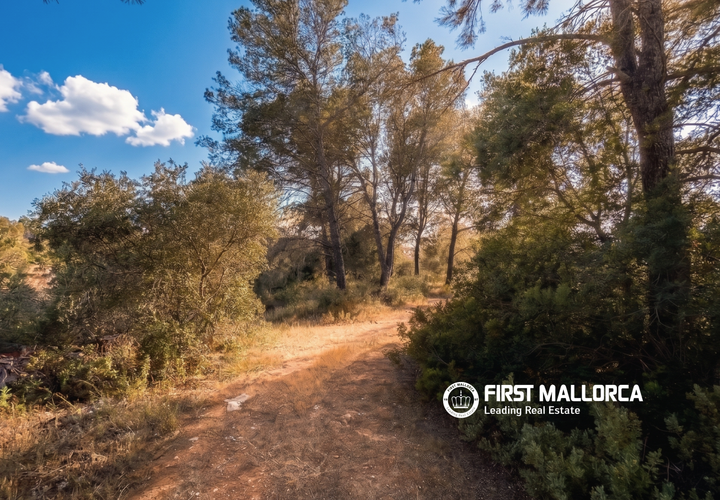 Tomt i Algaida, Mallorca, Algaida - € 298 000 | Ref: 83673 - foto 1