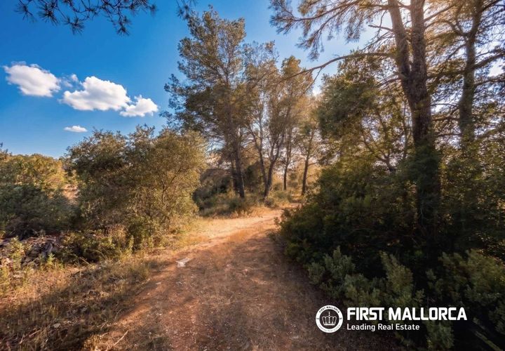 Tomt i Algaida, Mallorca, Algaida - € 298 000 | Ref: 83673 - foto 1