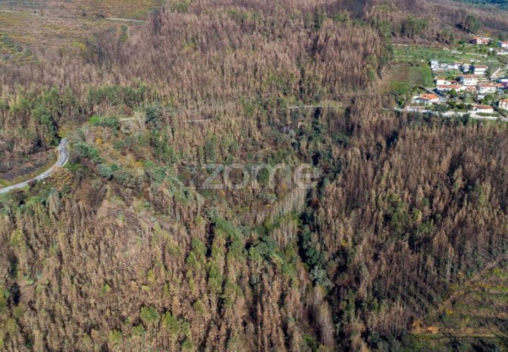 Villa i Cinfaes, Viseu, Cinfaes - € 65.000 | Ref: ZMPT588259 - foto 1