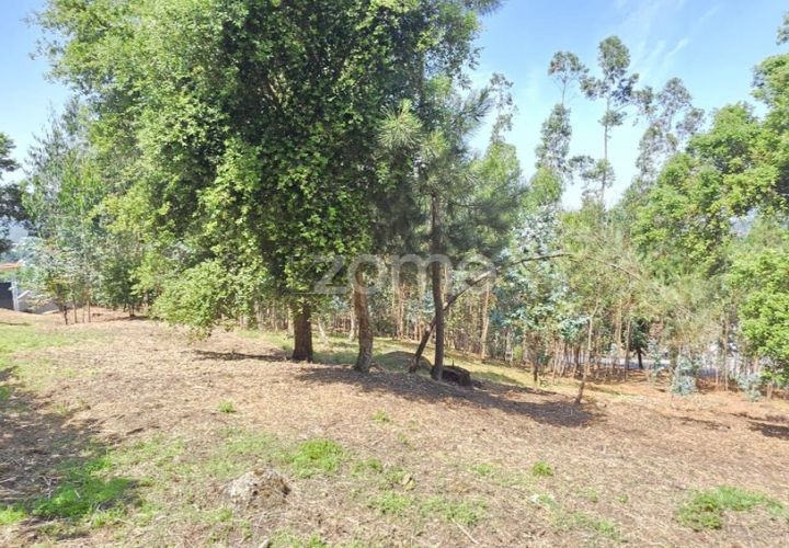 Terra em Barcelos, Braga, Barcelos - € 320.000 | Ref: ZMPT588782 - foto 1