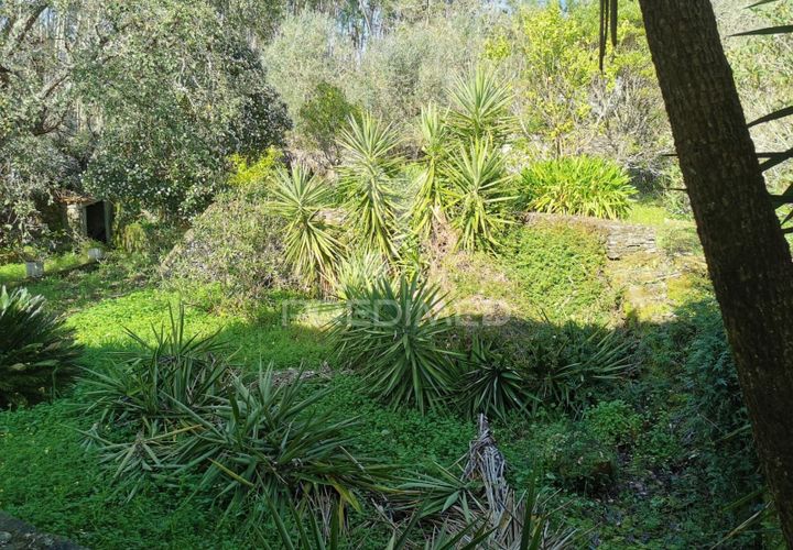 Helårsgrund i Tomar, Santarem, Tomar - € 85.000 | Ref: 060644 - foto 1
