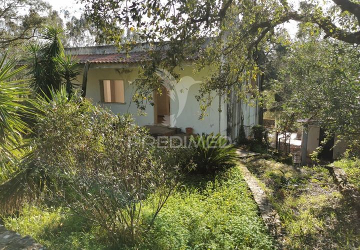 Grond in Tomar, Santarem, Tomar - € 85.000 | Ref: 060644 - foto 1