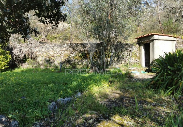 Terra em Tomar, Santarem, Tomar - € 85.000 | Ref: 060644 - foto 1