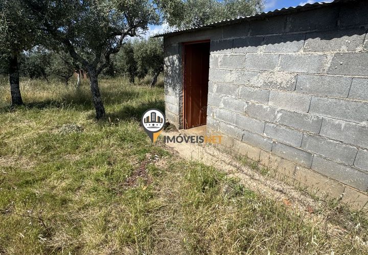 Helårsgrund i Castelo Branco, Castelo Branco, Castelo Branco - € 20.000 | Ref: 2990 - foto 1