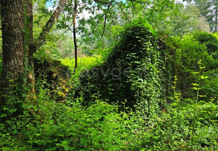Helårsgrund i Arganil, Coimbra, Arganil - € 24.500 | Ref: RR99222 - foto 1
