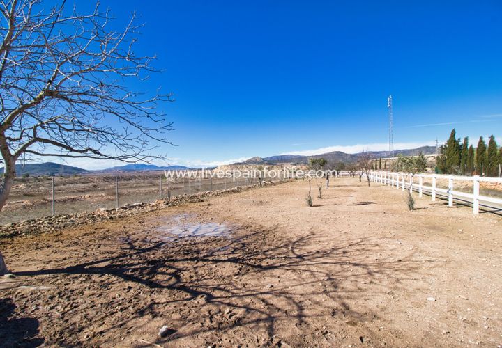 Farm i Monovar, Alicante, Monovar - € 200.000 | Ref: Mon KGeq - foto 1