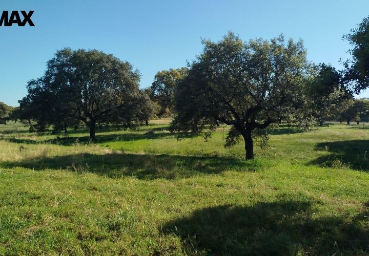 Helårsgrund i La Codosera, Badajoz, La Codosera - € 810.000 | Ref: 2026-127/12527 - foto 1