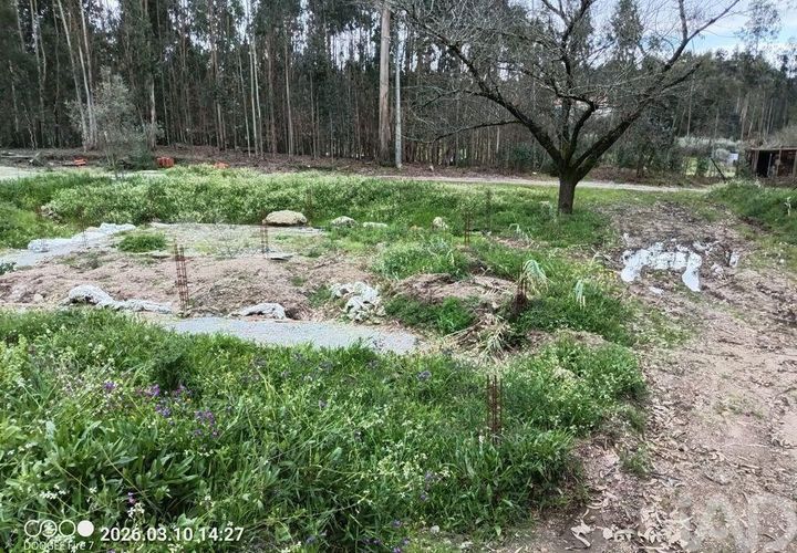 Terra a Santa Comba Dao, Viseu, Santa Comba Dao - € 24.900 | Ref: 919302 - foto 1