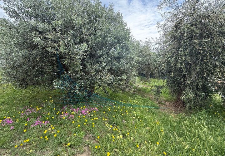 Lejlighed i Rosignano Marittimo, Livorno, Rosignano Marittimo - € 155.000 | Ref: 1860 - foto 1