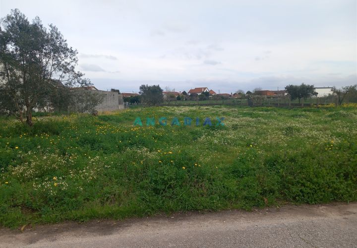 Helårsgrund i Pombal, Leiria, Pombal - € 95.000 | Ref: ANG1601 - foto 1
