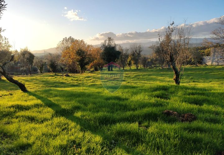Helårsgrund i Viseu, Viseu, Viseu - € 165.000 | Ref: 1915/V - foto 1