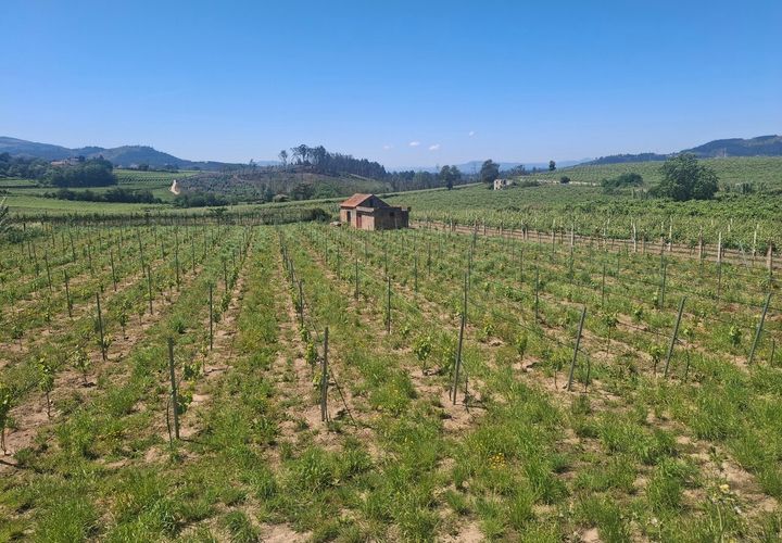 Helårsgrund i Moncao, Viana do Castelo, Moncao - € 20.000 | Ref: SF-SAFTI:008258 - foto 1