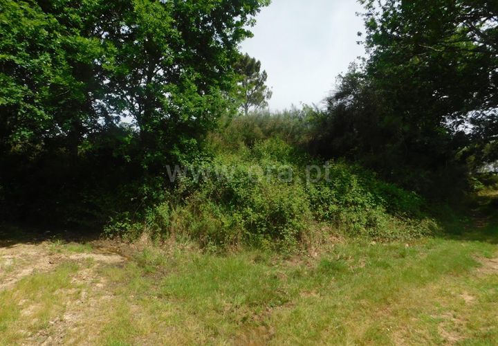 Helårsgrund i Seia, Guarda, Seia - € 70.000 | Ref: 382260051 - foto 1