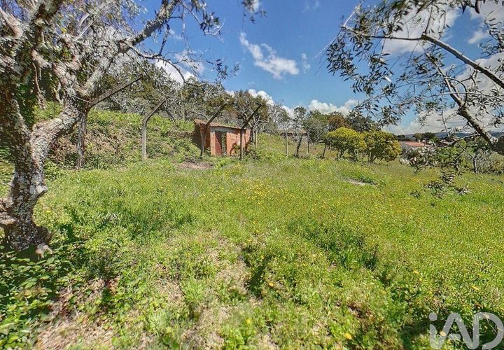Terra a Serta, Castelo Branco, Serta - € 22.000 | Ref: 920369 - foto 1