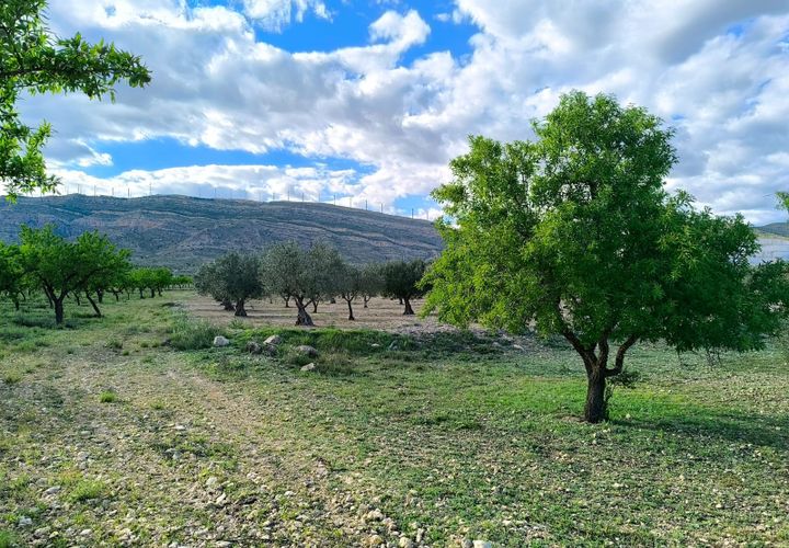 Helårsgrund i Caudete, Albacete, Caudete - € 8.900 | Ref: 70121 - foto 1