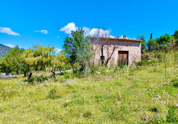 Terrain - Alaro, Mallorca, Alaro - € 195 000 | Réf : ALR619 - photo 1